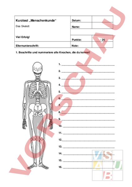 Unterrichtsmaterial Ch Biologie Anatomie Physiologie