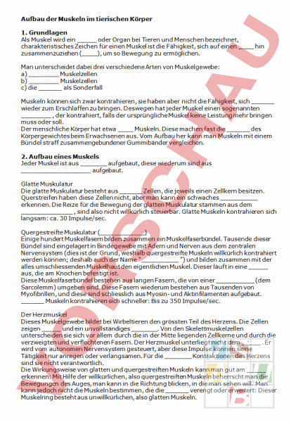 Arbeitsblatt Aufbau Der Muskeln Im Tierischen Korper Biologie Anatomie Physiologie