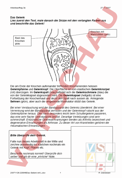 Gelenke Arbeitsblatt Kostenlos
 Arbeitsblatt Das Gelenk Biologie Anatomie Physiologie