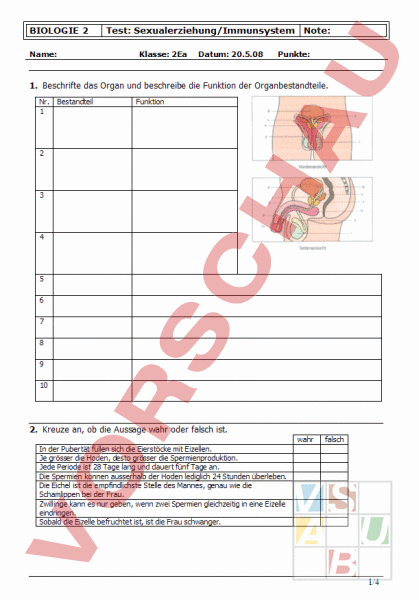 Arbeitsblatt Test Sexualerziehung Und Immunsystem Biologie