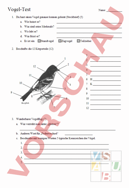 Arbeitsblatt: Test Vögel - Biologie - Tiere