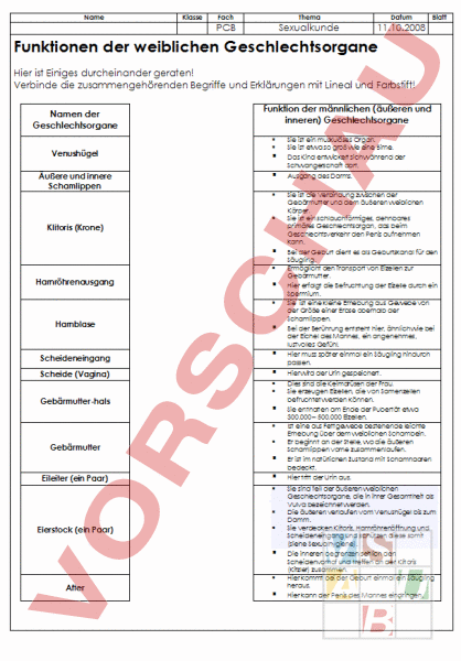 Arbeitsblatt Bandolino Weibliche Geschlechtsorgane Biologie Fortpflanzung Entwicklung