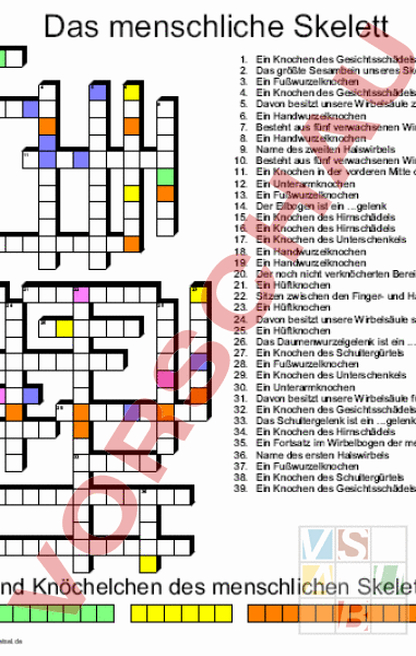 Arbeitsblatt: Kreuzworträtsel Skelett und Knochenbau - Biologie