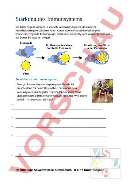 Arbeitsblatt: Stärkung Des Immunsystem - Biologie - Anderes Thema