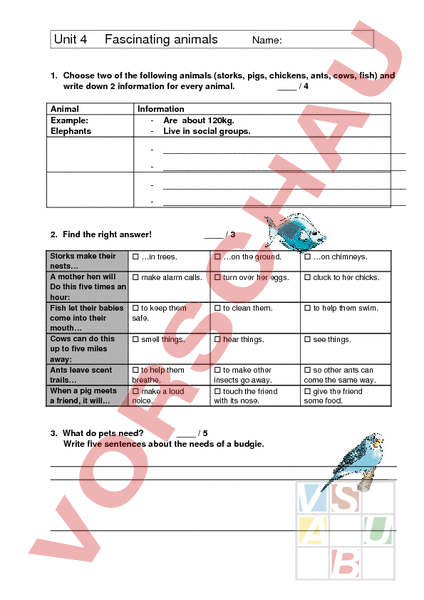 Unit 4 English Test Answers