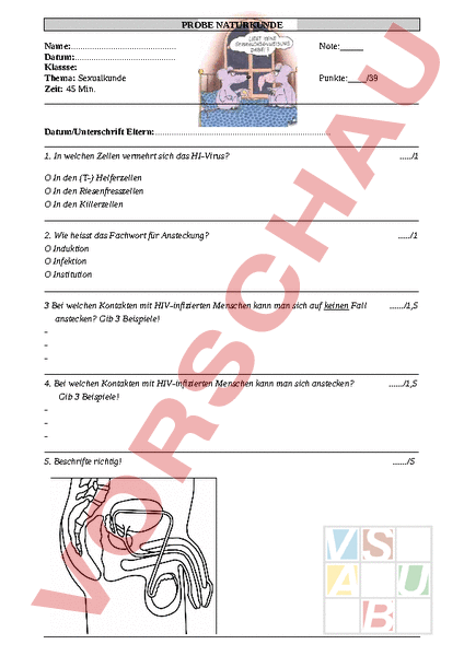 Arbeitsblatt Test Sexualkunde Biologie Anderes Thema