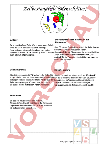 Arbeitsblatt: Zellbestandteile - Biologie - Zellbiologie / Cytologie