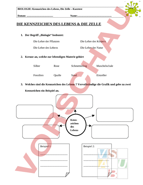 Kennzeichen Des Lebens Arbeitsblatt
 Arbeitsblatt Kurztest Kennzeichen des Lebens & Die Zelle Biologie