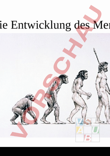 Entwicklung Des Menschen Arbeitsblatt
 Arbeitsblatt Bild Entwicklung des Menschen Geschichte Urzeit