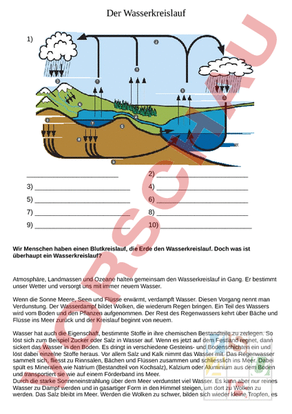 Arbeitsblatt Der Wasserkreislauf Biologie Oekologie