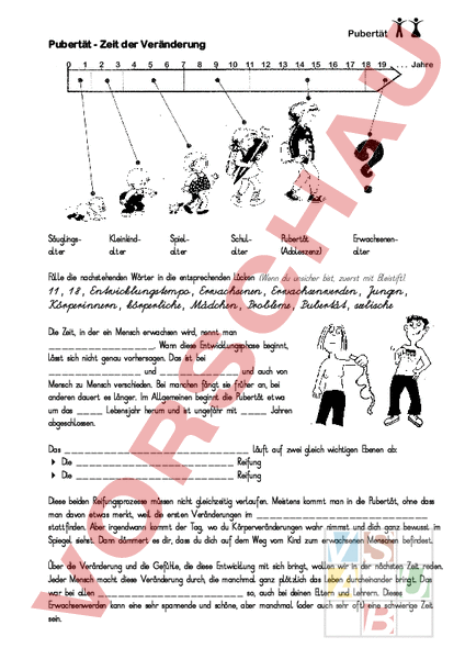 Pubertät Arbeitsblatt
 Arbeitsblatt Pubertät Biologie Fortpflanzung Entwicklung