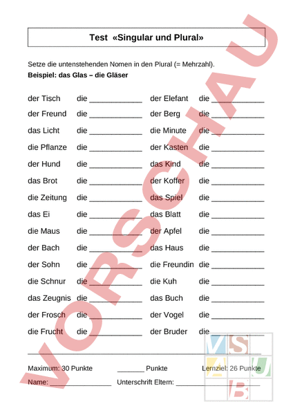 arbeitsblatt-test-singular-und-plural-deutsch-grammatik