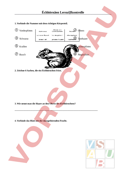 Arbeitsblatt Lzk Eichhornchen Biologie Tiere