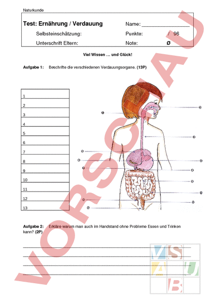 Arbeitsblatt Verdauung
 Arbeitsblatt Verdauung