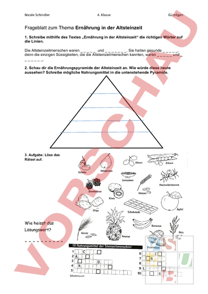 Ernährung In Der Steinzeit Arbeitsblatt
 Arbeitsblatt Ernährung Steinzeit Geschichte Urzeit