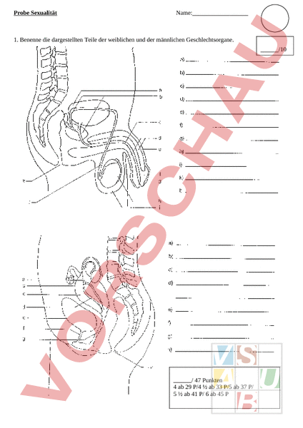 Arbeitsblatt: Test Sexualkunde - Lebenskunde - Sexualerziehung