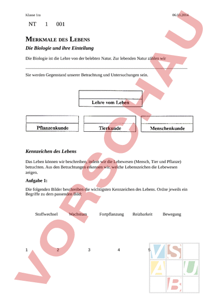 Arbeitsblatt Merkmale Des Lebens Biologie Pflanzen Botanik