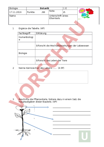 Arbeitsblatt: Test Botanik - Biologie - Pflanzen / Botanik