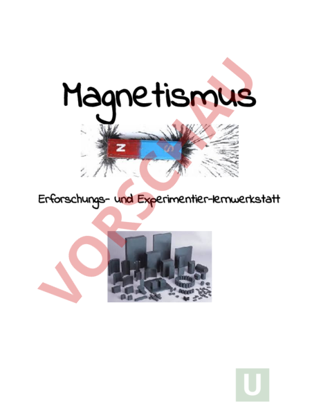 Arbeitsblatt: Magnetismus - Physik - Elektrizität / Magnetismus