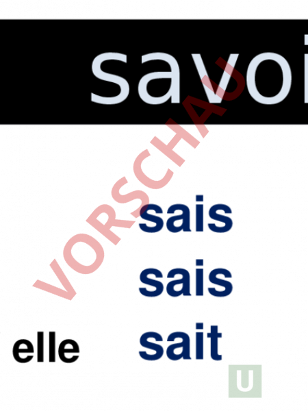 Arbeitsblatt Savoir Franz Sisch Grammatik