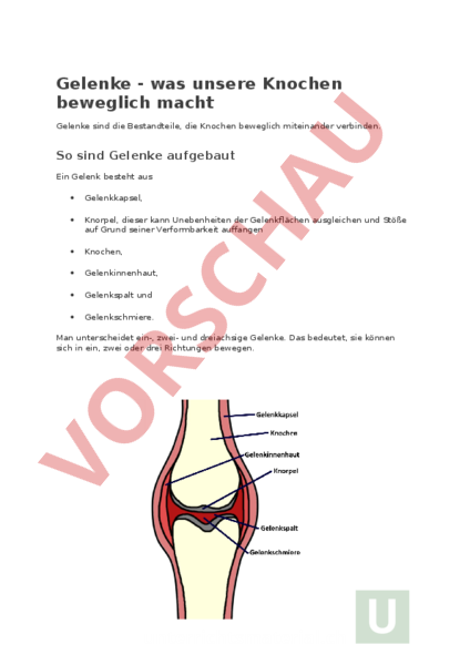 Gelenke Arbeitsblatt Kostenlos
 Arbeitsblatt Aufbau eines Gelenkes Biologie Anatomie Physiologie