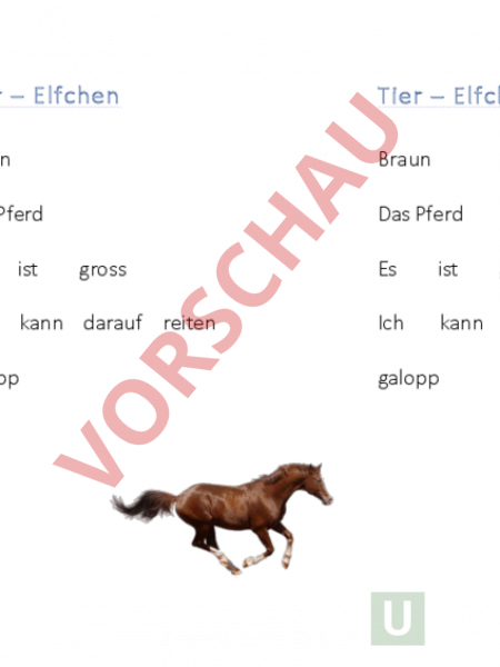 Arbeitsblatt Tierrätsel Elfchen Deutsch Texte Schreiben